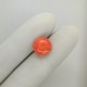 Coral (Moonga) 4.93 Ct Certified Coral (Moonga) 4.93 Ct Certified